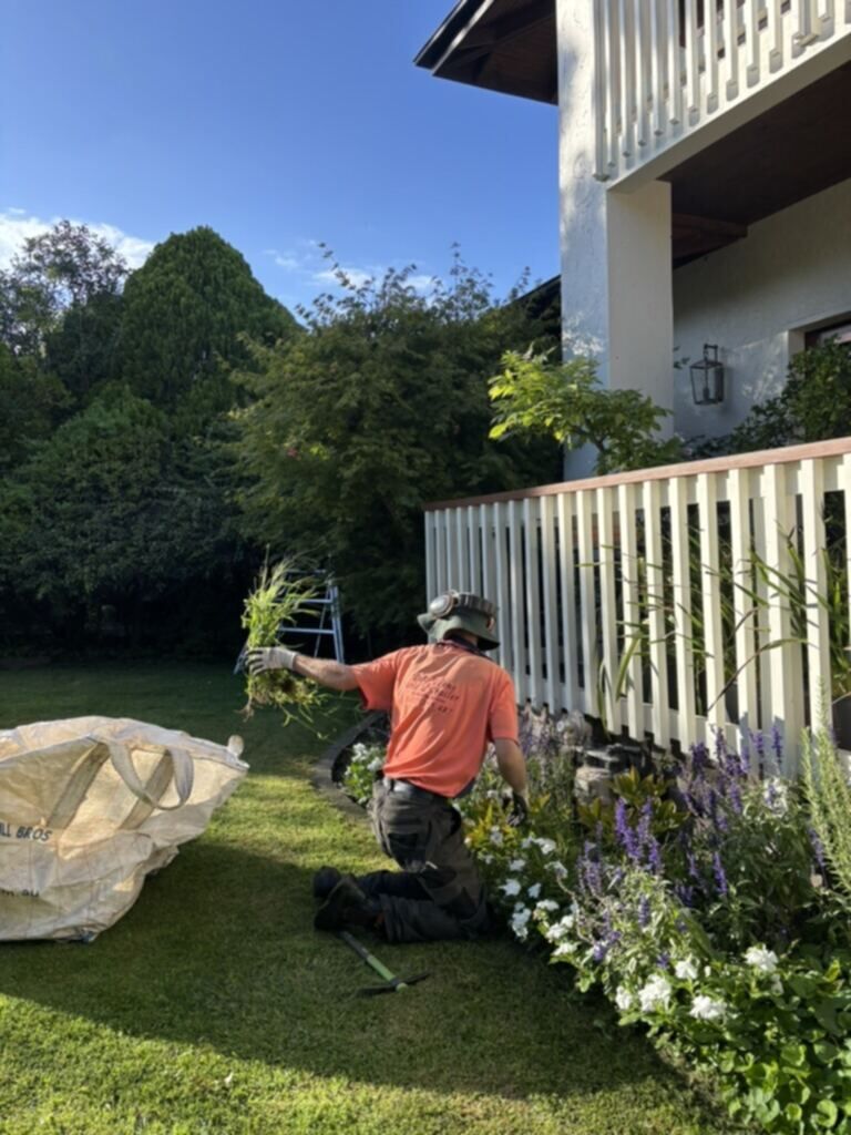Detailed garden bed care outside a Canberra home